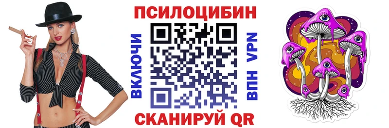 Псилоцибиновые грибы Psilocybe  Купить закладки  Магадан 